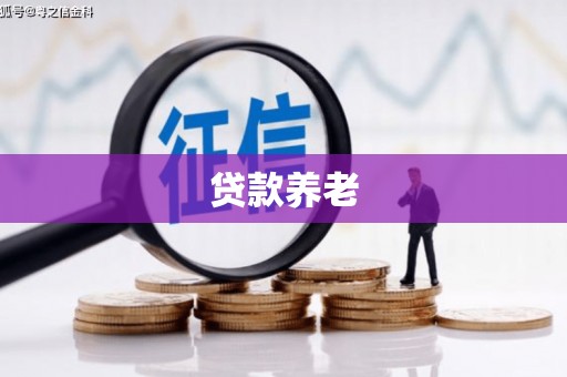 六枝贷款养老