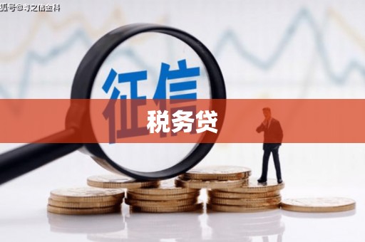 六枝税务贷
