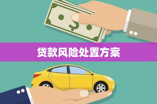 六枝贷款风险处置方案