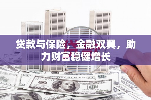 六枝贷款与保险，金融双翼，助力财富稳健增长