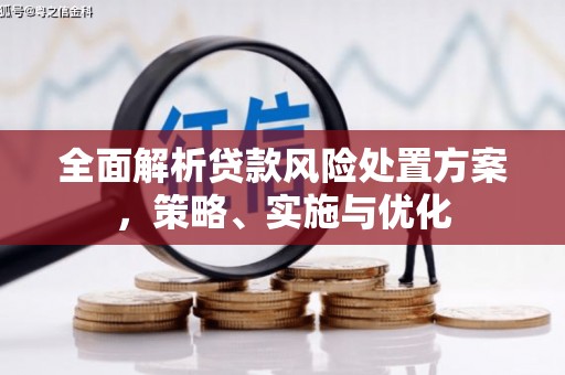 六枝全面解析贷款风险处置方案，策略、实施与优化