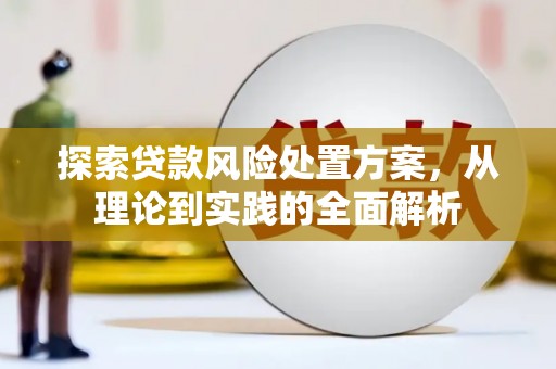六枝探索贷款风险处置方案，从理论到实践的全面解析