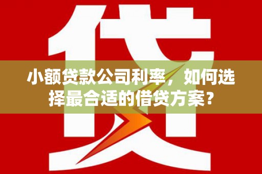 六枝小额贷款公司利率，如何选择最合适的借贷方案？