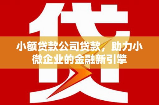 六枝小额贷款公司贷款，助力小微企业的金融新引擎