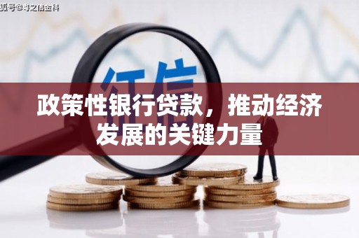 六枝政策性银行贷款，推动经济发展的关键力量