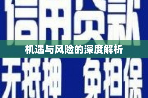 六枝机遇与风险的深度解析