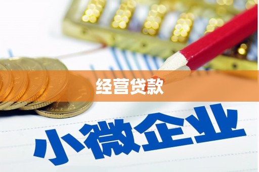 六枝经营贷款