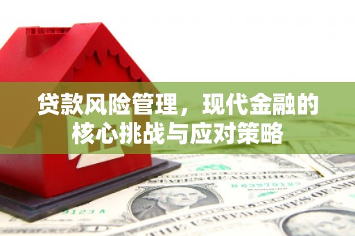 六枝贷款风险管理，现代金融的核心挑战与应对策略
