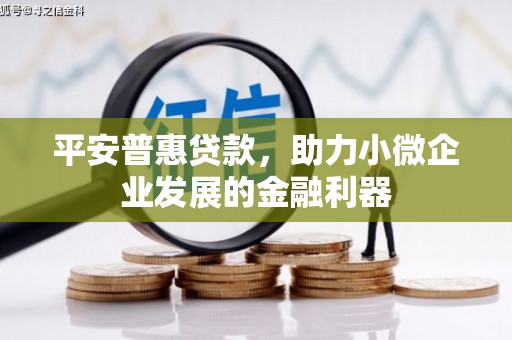 六枝平安普惠贷款，助力小微企业发展的金融利器