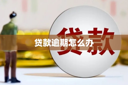 六枝贷款逾期怎么办