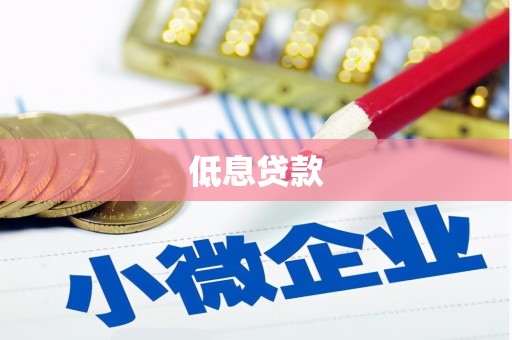 六枝低息贷款