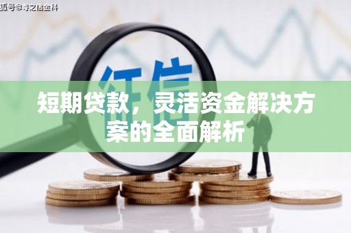 六枝短期贷款，灵活资金解决方案的全面解析