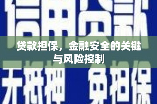 六枝贷款担保，金融安全的关键与风险控制