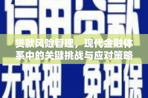六枝贷款风险管理，现代金融体系中的关键挑战与应对策略