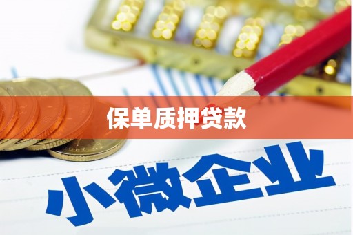 六枝保单质押贷款
