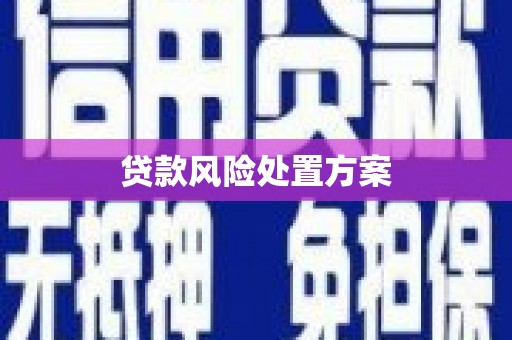 六枝贷款风险处置方案