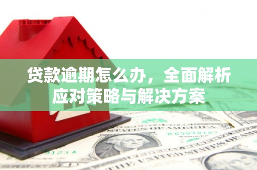 六枝贷款逾期怎么办，全面解析应对策略与解决方案