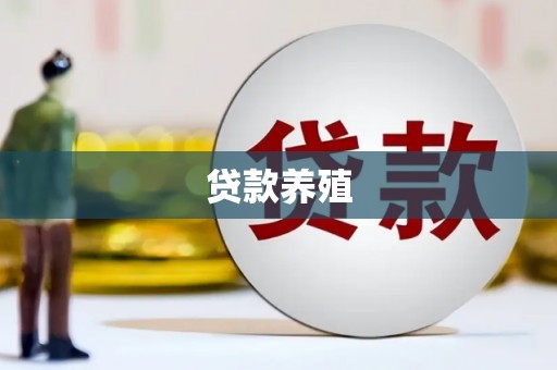 六枝贷款养殖