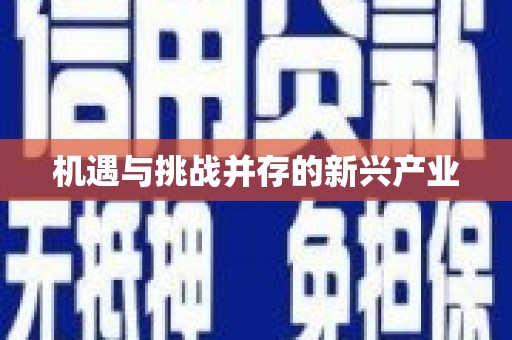 六枝机遇与挑战并存的新兴产业