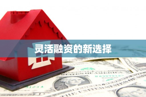 六枝灵活融资的新选择