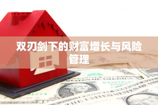 六枝双刃剑下的财富增长与风险管理