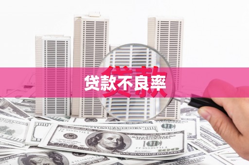 六枝贷款不良率
