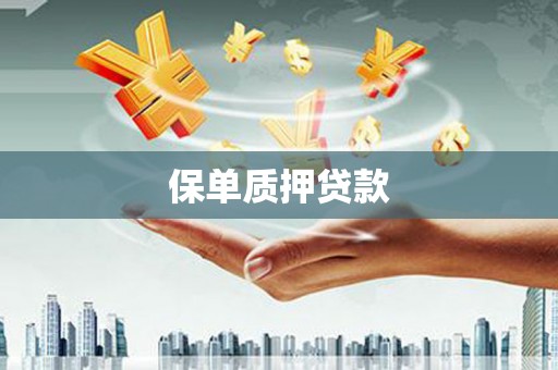 六枝保单质押贷款