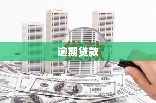 六枝逾期贷款