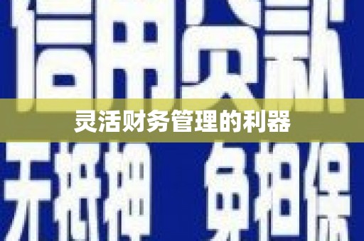 六枝灵活财务管理的利器