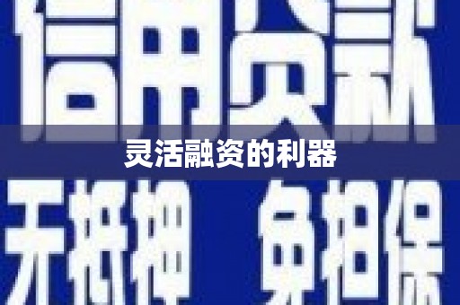 六枝灵活融资的利器