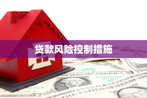 六枝贷款风险控制措施