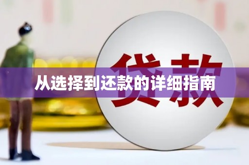 六枝从选择到还款的详细指南
