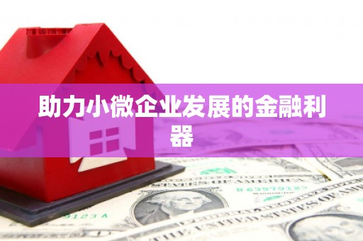 六枝助力小微企业发展的金融利器