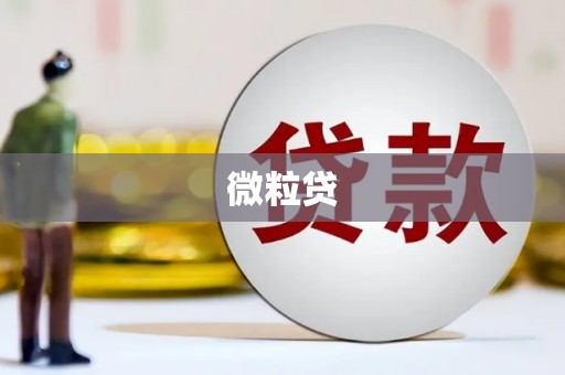 六枝微粒贷