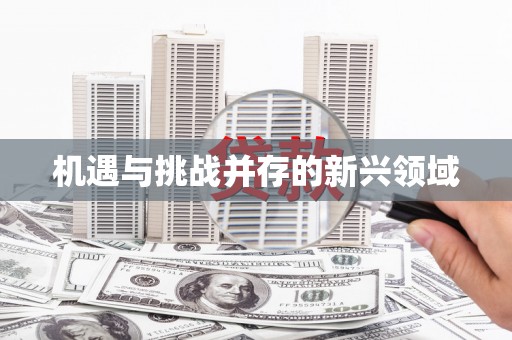 六枝机遇与挑战并存的新兴领域