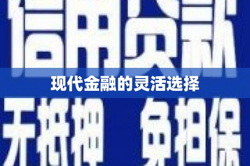 六枝现代金融的灵活选择