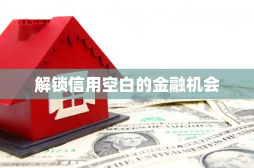 六枝解锁信用空白的金融机会