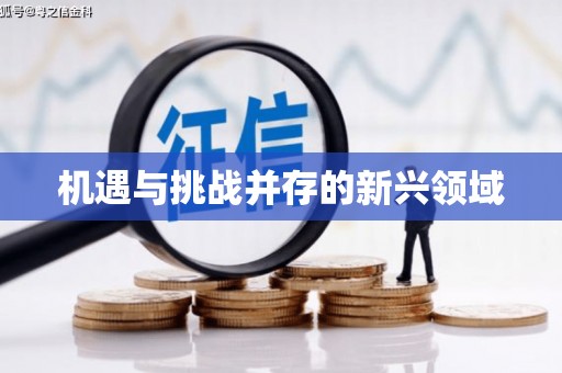 六枝机遇与挑战并存的新兴领域