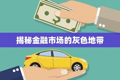 六枝揭秘金融市场的灰色地带