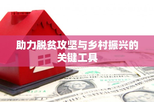 六枝助力脱贫攻坚与乡村振兴的关键工具