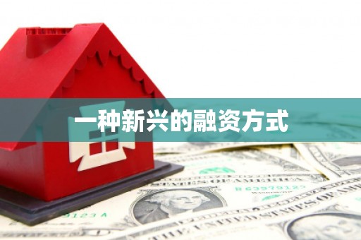 六枝一种新兴的融资方式