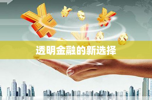 六枝透明金融的新选择