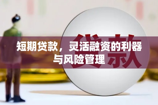 六枝短期贷款，灵活融资的利器与风险管理