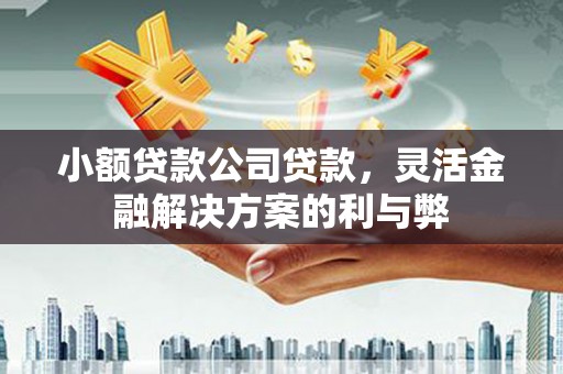 六枝小额贷款公司贷款，灵活金融解决方案的利与弊