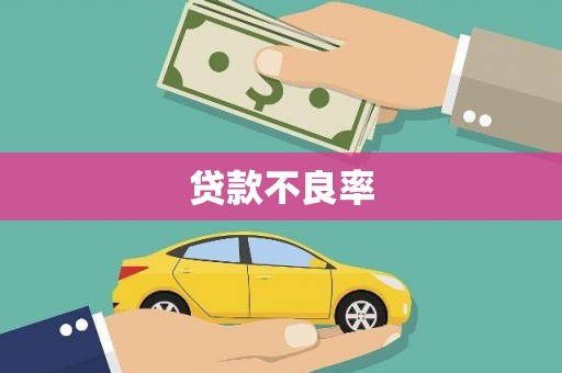 六枝贷款不良率