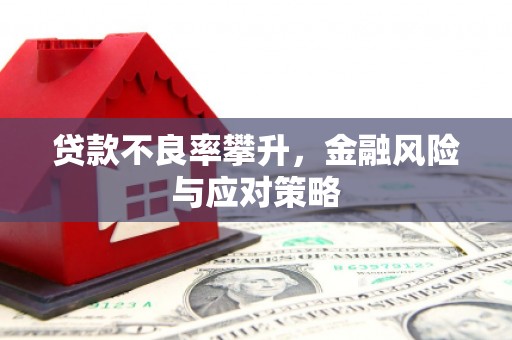 六枝贷款不良率攀升，金融风险与应对策略
