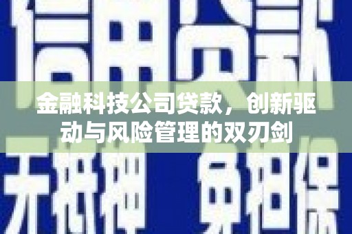 六枝金融科技公司贷款，创新驱动与风险管理的双刃剑